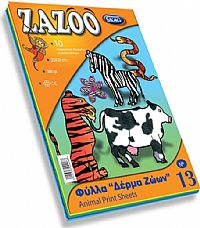 Skag Μπλοκ Χαρτόνια Zazoo Νο 13 Πολύχρωμο 300gr 25x35cm 10φύλλα