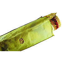 Θήκη χαλιών ΥΦΑΣΜΑ 48x2.5m