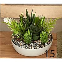 Γλαστράκι με φυτό Νο15
