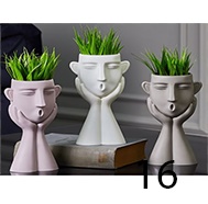 Γλαστράκι με φυτό Νο16 