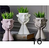 Γλαστράκι με φυτό Νο16 