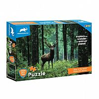 PUZZLE 1000TEM 73Χ48ΕΚ ANIMAL PLANET ΕΛΑΦΙ ΣΤΟ ΔΑΣΟΣ