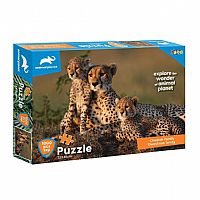 PUZZLE 1000TEM 73Χ48ΕΚ ANIMAL PLANET ΟΙΚΟΓΕΝΕΙΑ ΤΣΙΤΑΧ