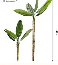 ΤΕΧΝΙΤΟ ΦΥΤΟ 160 cm.