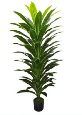 ΤΕΧΝΙΤΟ ΦΥΤΟ 150 cm. ΜΕ ΓΛΑΣΤΡΑ