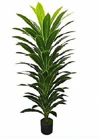 ΤΕΧΝΙΤΟ ΦΥΤΟ 150 cm. ΜΕ ΓΛΑΣΤΡΑ