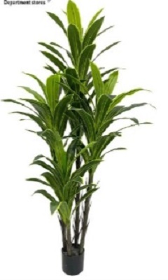 ΤΕΧΝΙΤΟ ΦΥΤΟ 180 cm. ΜΕ ΓΛΑΣΤΡΑ