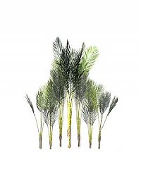 ΤΕΧΝΙΤΟ ΦΥΤΟ 160 cm. 